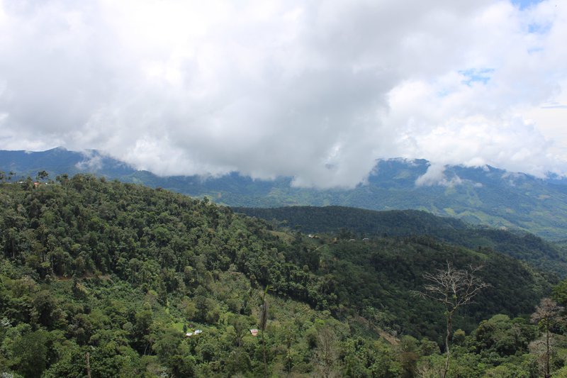 Código de invitación: 8b06e