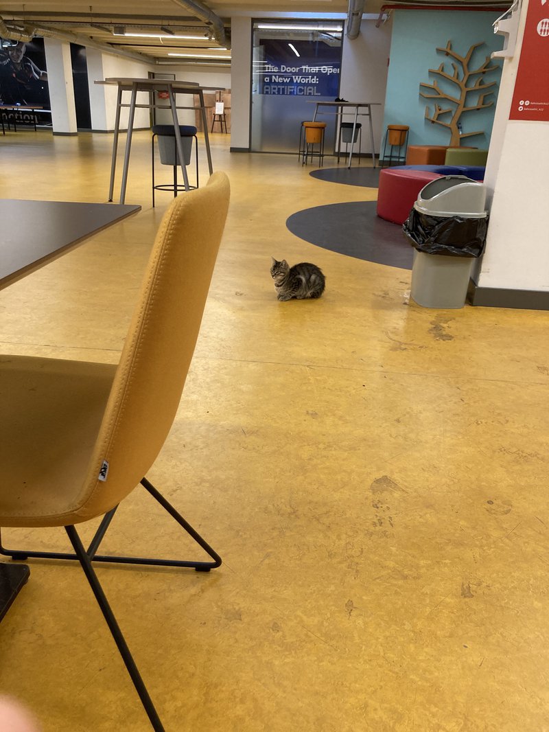 This little friend helped us with our project. :))