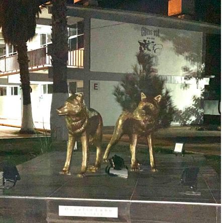 Sunday night at school