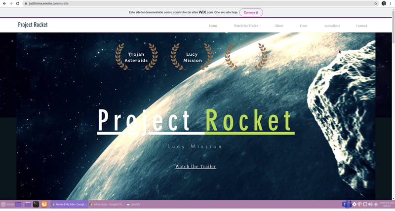 Construction of the project website