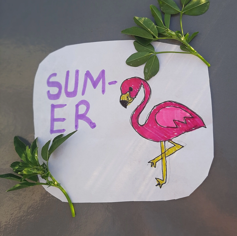 because ı painted it