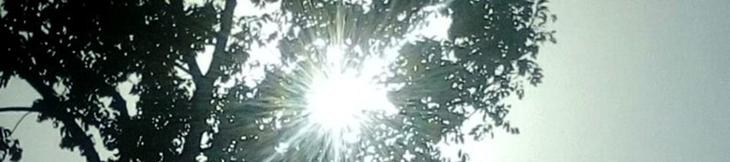 teams knowledge attention