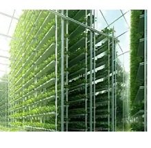 food for good mood ♥