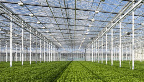 A greenhouse is a structure covered with light-transmitting materials such as glass, plastic, fiberglass, in which environmental conditions can be controlled or regulated in order to provide suitable conditions for the growth of plants.