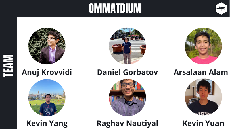 Team Ommatdium!!! 